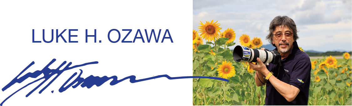 9月13日(金)<br>C-P.L PLASMA SPUTTERING<br>LUKE H. OZAWA LIMITED EDITION登場！<br>ルーク・オザワのカラーを纏った青いC-P.L<br>予約販売開始